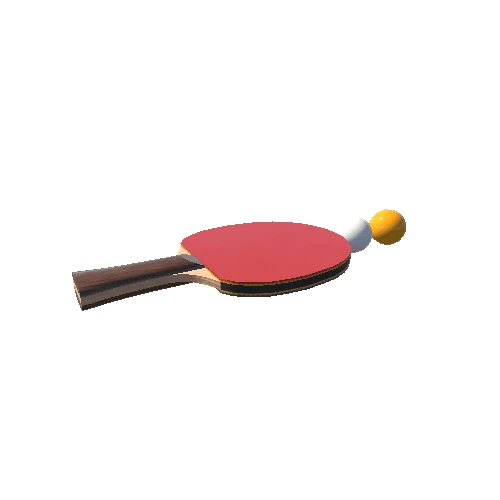 Table Tennis Paddle